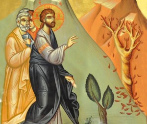 Jesus Curses the Fig Tree